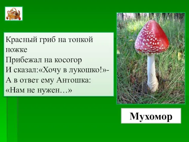 Красный гриб на тонкой ножке Прибежал на косогор И сказал:«Хочу в