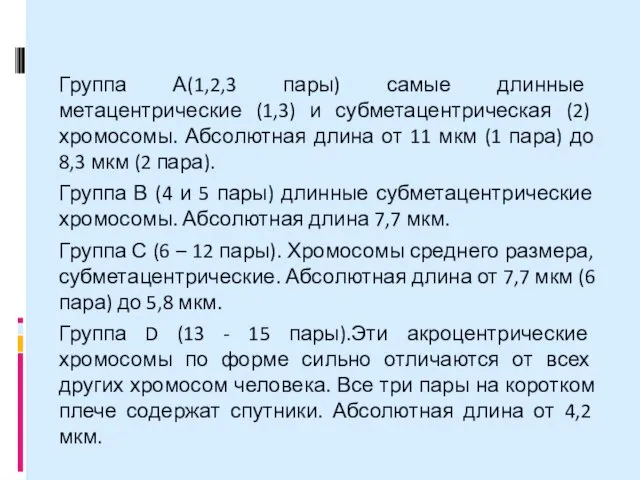 Группа А(1,2,3 пары) самые длинные метацентрические (1,3) и субметацентрическая (2) хромосомы.