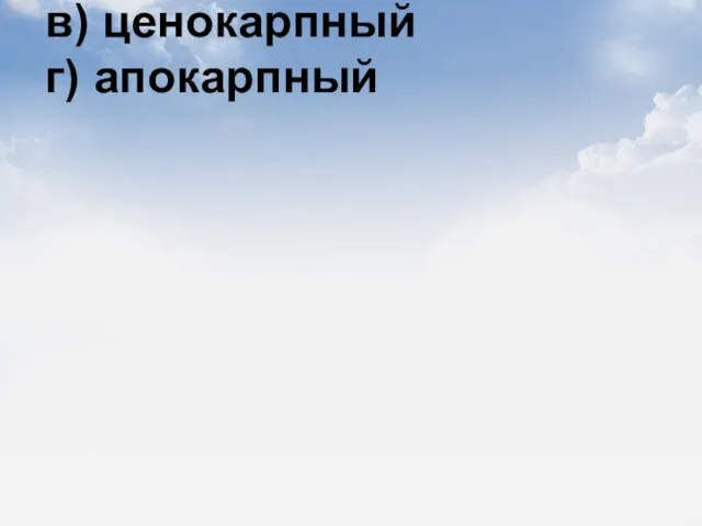 11) Гинецей лютиковых а) синкарпный б) паракарпный в) ценокарпный г) апокарпный