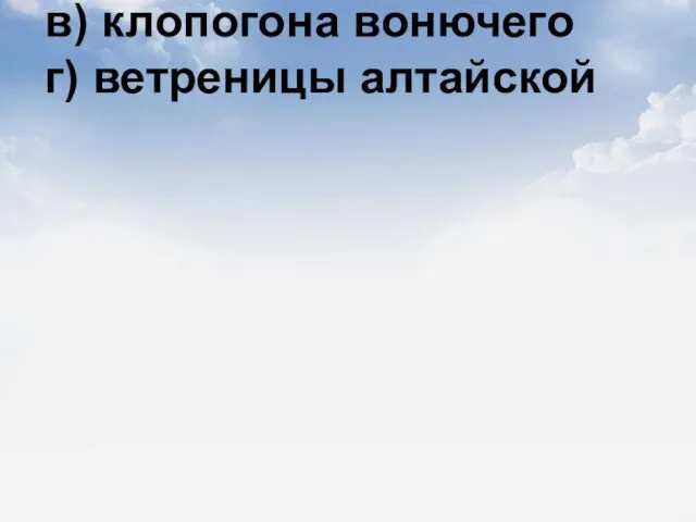 14) Жизненная форма лиана характерна для а) княжика сибирского б) адониса