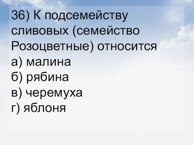 36) К подсемейству сливовых (семейство Розоцветные) относится а) малина б) рябина в) черемуха г) яблоня