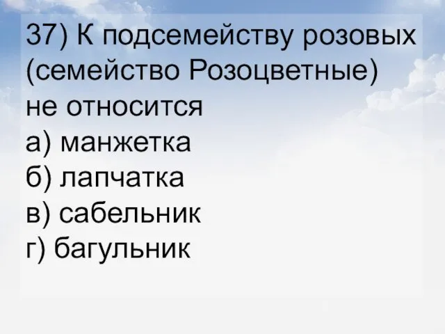 37) К подсемейству розовых (семейство Розоцветные) не относится а) манжетка б) лапчатка в) сабельник г) багульник