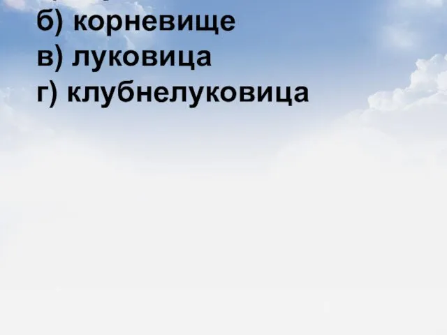 5) Метаморфоз у многих лютиковых а) каудекс б) корневище в) луковица г) клубнелуковица