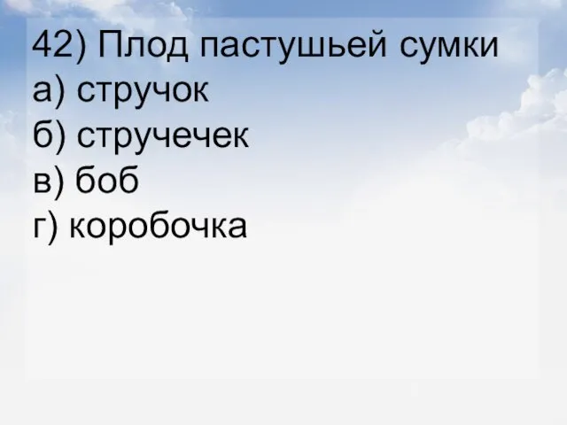 42) Плод пастушьей сумки а) стручок б) стручечек в) боб г) коробочка