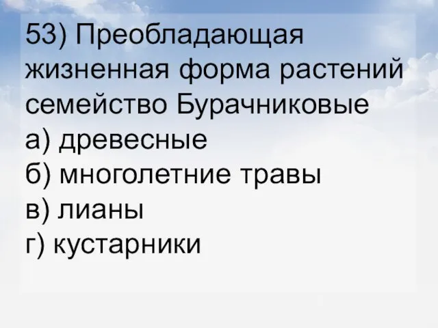 53) Преобладающая жизненная форма растений семейство Бурачниковые а) древесные б) многолетние травы в) лианы г) кустарники