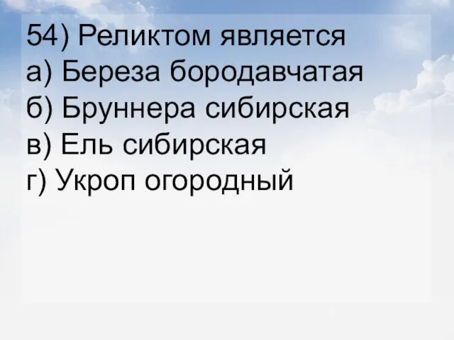 54) Реликтом является а) Береза бородавчатая б) Бруннера сибирская в) Ель сибирская г) Укроп огородный