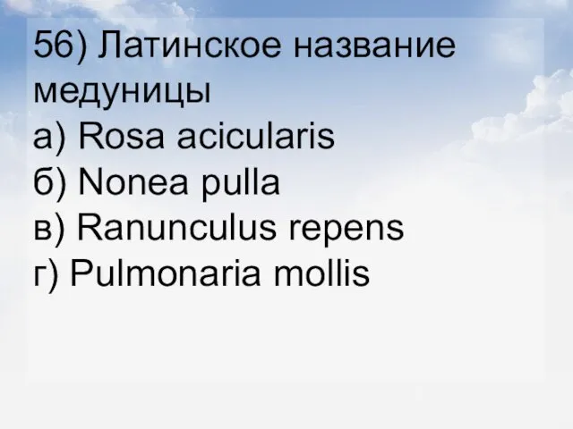 56) Латинское название медуницы а) Rosa acicularis б) Nonea pulla в) Ranunculus repens г) Pulmonaria mollis