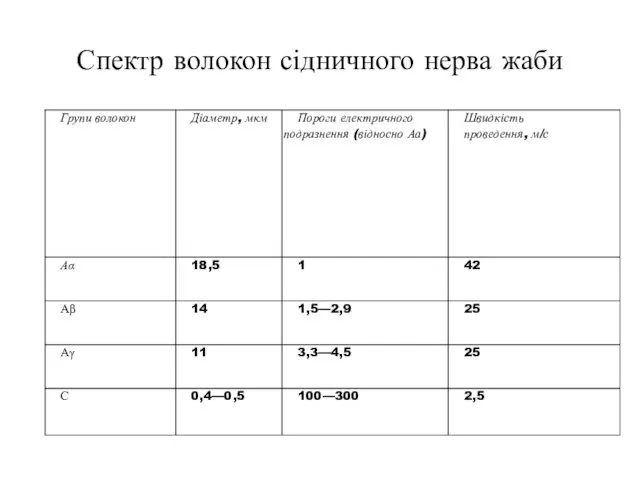 Спектр волокон сідничного нерва жаби