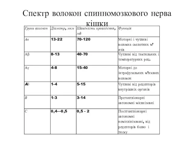 Спектр волокон спинномозкового нерва кішки