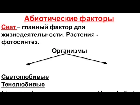 Абиотические факторы Свет – главный фактор для жизнедеятельности. Растения - фотосинтез. Организмы Светолюбивые Тенелюбивые (фототрофы) (фотофобы)