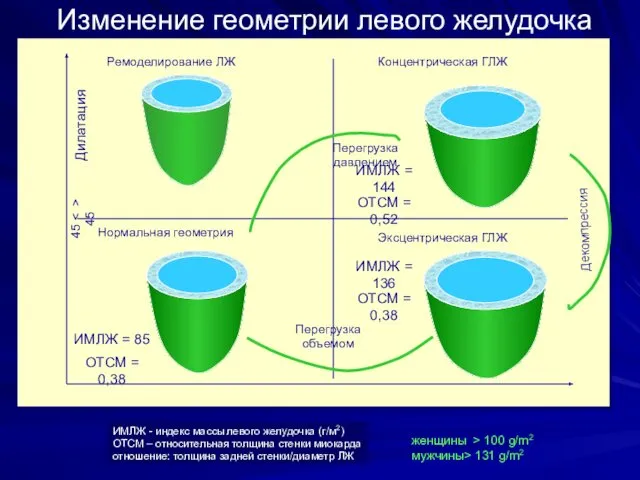 Нормальная геометрия Ремоделирование ЛЖ Концентрическая ГЛЖ Эксцентрическая ГЛЖ Дилатация Декомпрессия Перегрузка