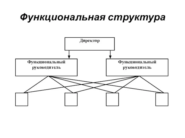 Функциональная структура