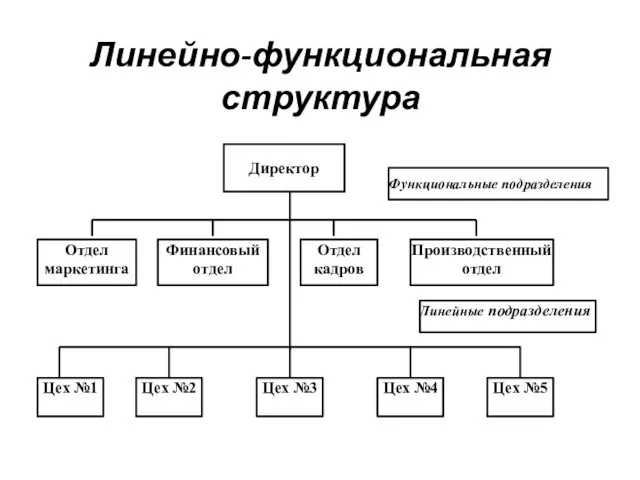 Линейно-функциональная структура