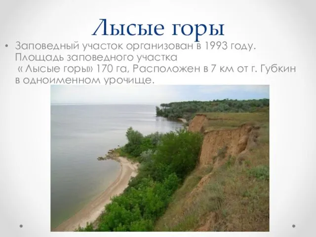 Лысые горы Заповедный участок организован в 1993 году. Площадь заповедного участка