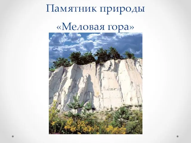 Памятник природы «Меловая гора»