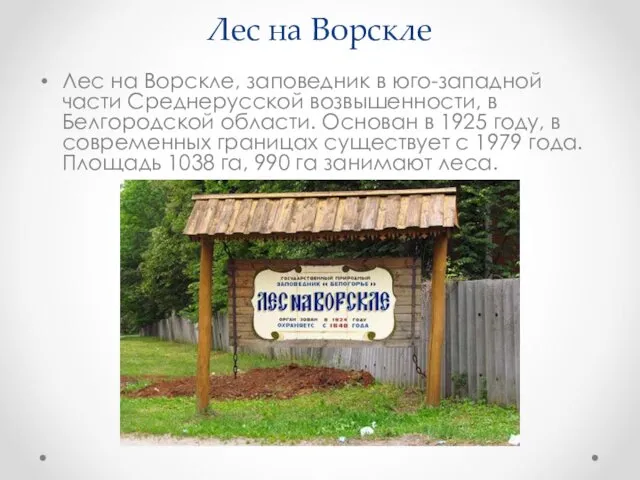 Лес на Ворскле Лес на Ворскле, заповедник в юго-западной части Среднерусской