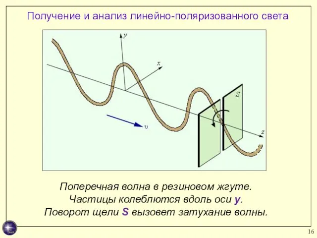 Поперечная волна в резиновом жгуте. Частицы колеблются вдоль оси y. Поворот