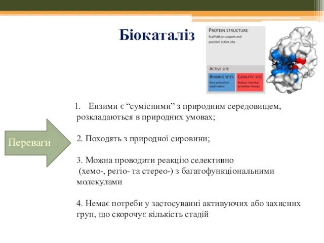 Біокаталіз Переваги Ензими є “сумісними” з природним середовищем, розкладаються в природних