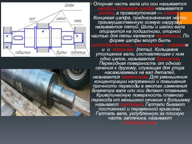 Опорная часть вала или оси называется цапфой. Концевая цапфа называется шипом,