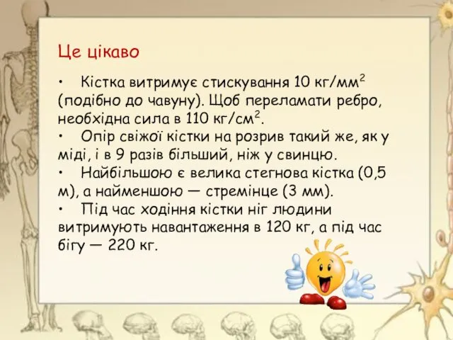 Це цікаво • Кістка витримує стискування 10 кг/мм2 (подібно до чавуну).