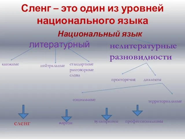 Сленг – это один из уровней национального языка Национальный язык литературный