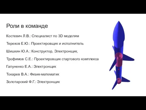 Роли в команде Костевич Л.В.: Специалист по 3D моделям Терехов Е.Ю.: