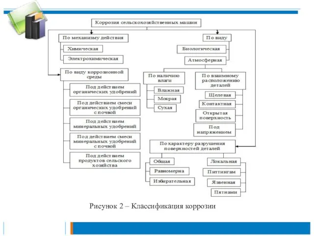 Рисунок 2 – Классификация коррозии