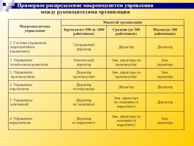 Примерное распределение макроподсистем управления между руководителями организации