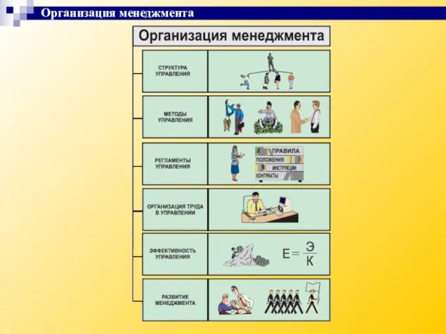 Организация менеджмента