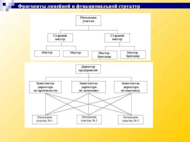 Фрагменты линейной и функциональной структур