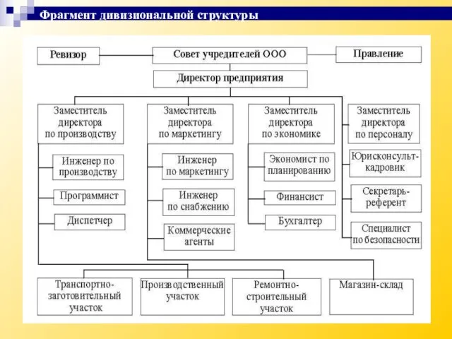 Фрагмент дивизиональной структуры