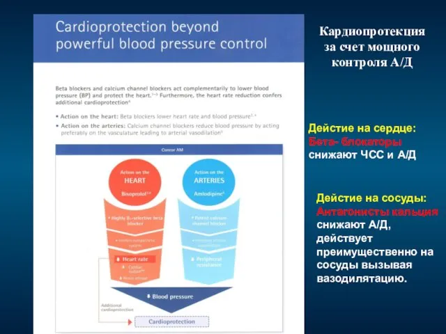 Кардиопротекция за счет мощного контроля А/Д Дейстие на сердце: Бета- блокаторы