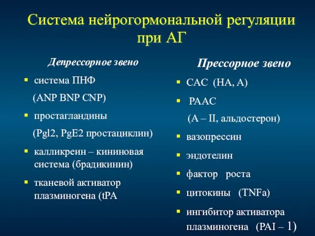 Система нейрогормональной регуляции при АГ Депрессорное звено система ПНФ (ANP BNP