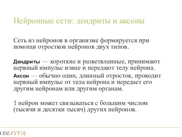 Нейронные сети: дендриты и аксоны Сеть из нейронов в организме формируется