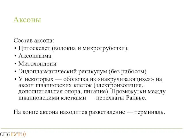 Аксоны Состав аксона: Цитоскелет (волокна и микротрубочки). Аксоплазма Митохондрии Эндоплазматический ретикулум