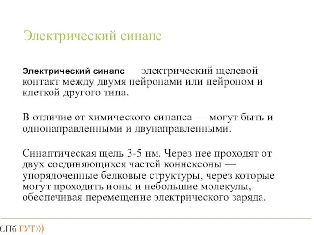 Электрический синапс Электрический синапс — электрический щелевой контакт между двумя нейронами