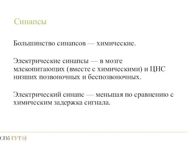 Синапсы Большинство синапсов — химические. Электрические синапсы — в мозге млекопитающих