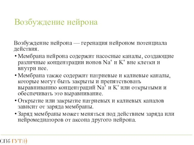 Возбуждение нейрона Возбуждение нейрона — геренация нейроном потенциала действия. Мембрана нейрона