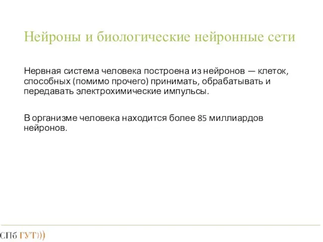 Нейроны и биологические нейронные сети Нервная система человека построена из нейронов