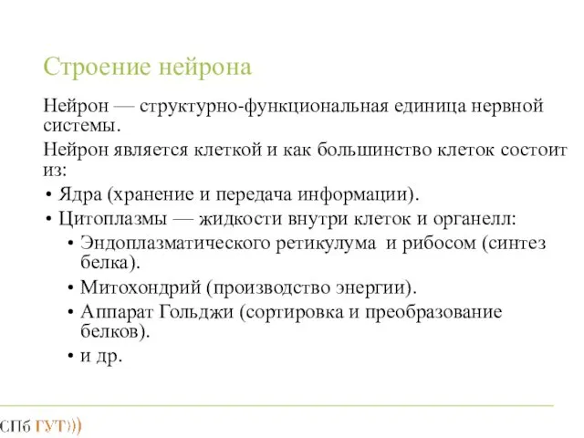 Строение нейрона Нейрон — структурно-функциональная единица нервной системы. Нейрон является клеткой