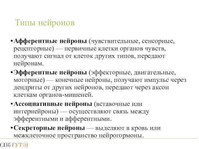 Типы нейронов Афферентные нейроны (чувствительные, сенсорные, рецепторные) — первичные клетки органов