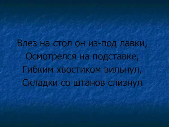 Влез на стол он из-под лавки, Осмотрелся на подставке, Гибким хвостиком вильнул, Складки со штанов слизнул