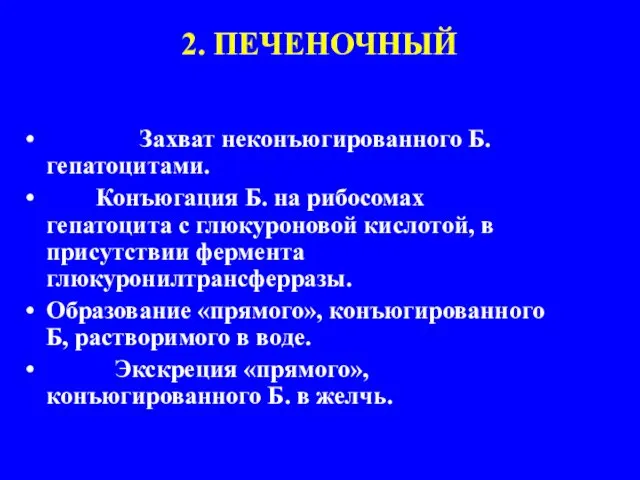 2. ПЕЧЕНОЧНЫЙ Захват неконъюгированного Б. гепатоцитами. Конъюгация Б. на рибосомах гепатоцита