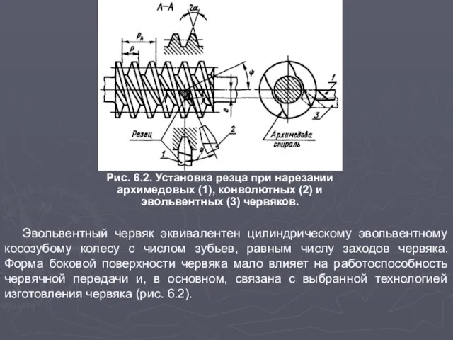 Рис. 6.2. Установка резца при нарезании архимедовых (1), конволютных (2) и