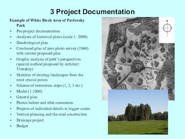 3 Project Documentation Example of White Birch Area of Pavlovsky Park