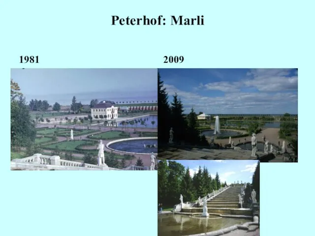 Peterhof: Marli 1981 2009