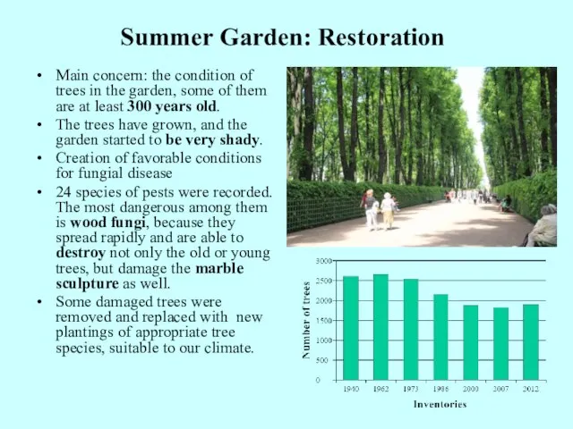 Summer Garden: Restoration Main concern: the condition of trees in the