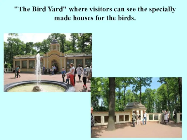 "The Bird Yard" where visitors can see the specially made houses for the birds.