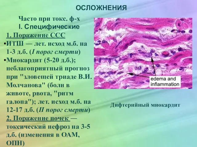 ОСЛОЖНЕНИЯ Часто при токс. ф-х I. Специфические 1. Поражение ССС ИТШ