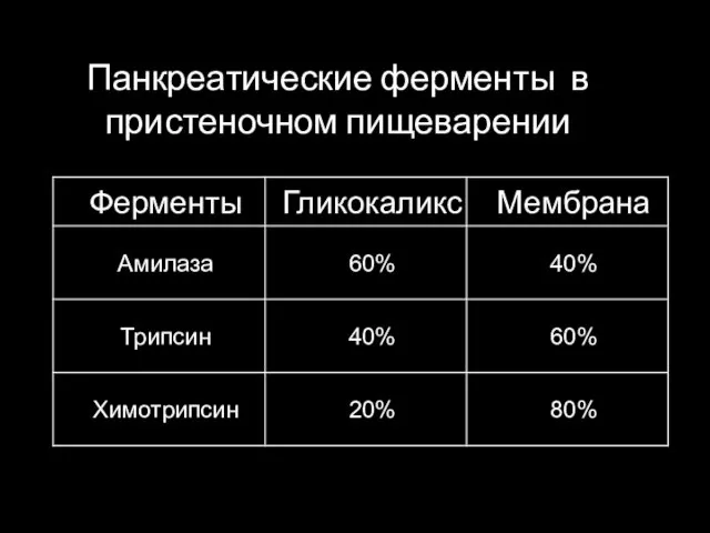 Панкреатические ферменты в пристеночном пищеварении